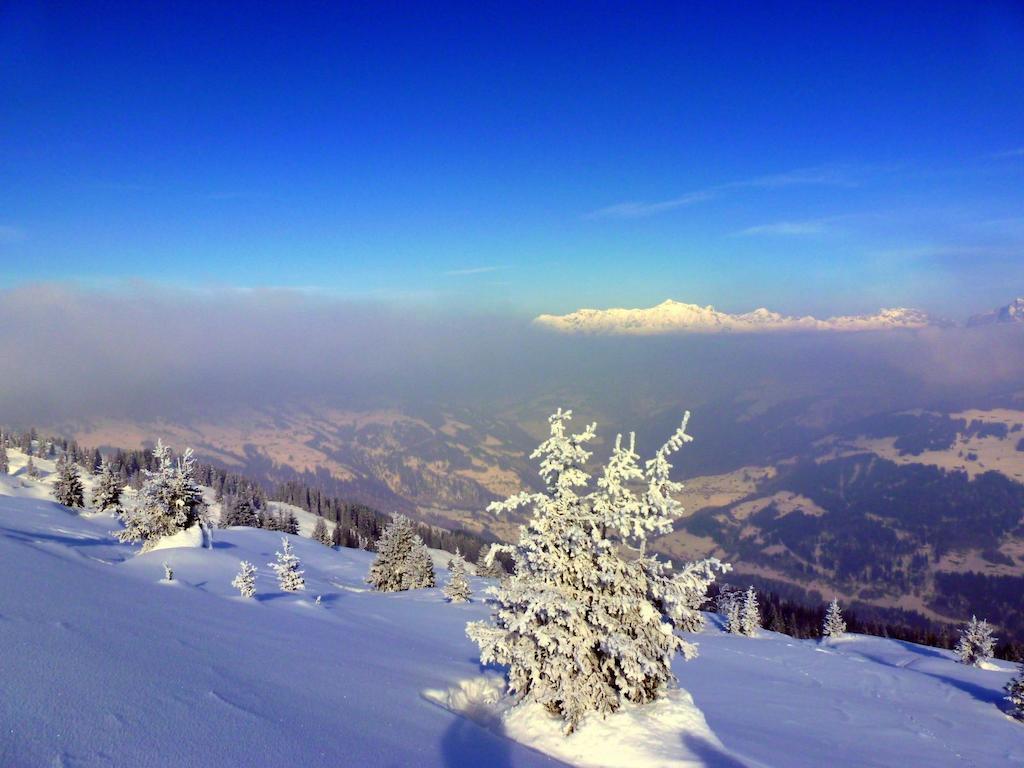 Landgasthof Sommerfeld Pragg-Jenaz Luaran gambar